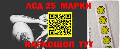 ПСИЛОЦИБИНОВЫЕ ГРИБЫ Гусев