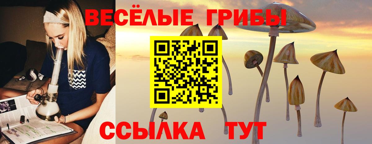 Псилоцибиновые грибы мицелий Мариинск